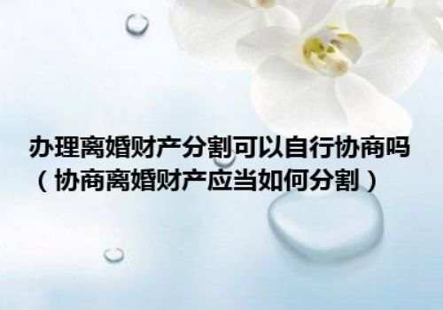苏州市侦探：婚前协议的内容有哪些_3